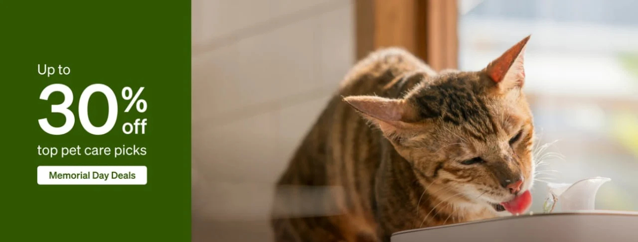Traveling This Memorial Day? Make Pet Care Stress-Free with PETLIBRO Automatic Feeders