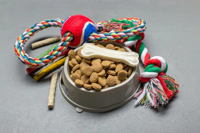 Dog Toys and Accessories